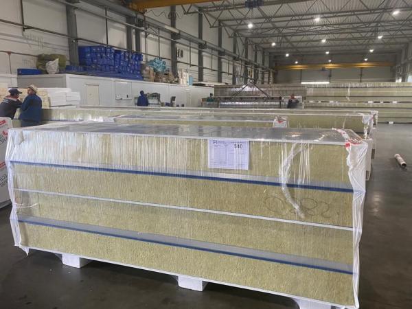 Сэндвич Панели 100мм МВУ (Минеральная вата) ПЭ (Полиэстэр) RAL 6005 Зеленый